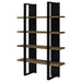 danbrook-bookshelf