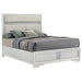 miranda-panel-bed
