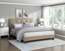 newberry-bed