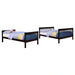 chapman-bunk-bed