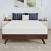 nasturtium-8-full-bamboo-charcoal-infused-memory-foam