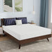 nasturtium-8-queen-bamboo-charcoal-infused-memory-foam
