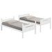 littleton-bunk-bed
