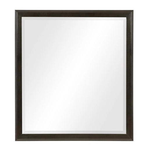 hodgin-mirror