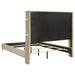 lucia-wingback-bed