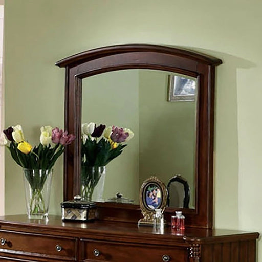 spring-ray-mirror