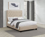 chloe-panel-bed