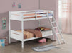 littleton-bunk-bed