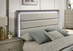 rainier-eking-bed