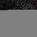 nappi-daybed-compressed-foam-3