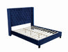 ryleigh-bed-black-grey-navy