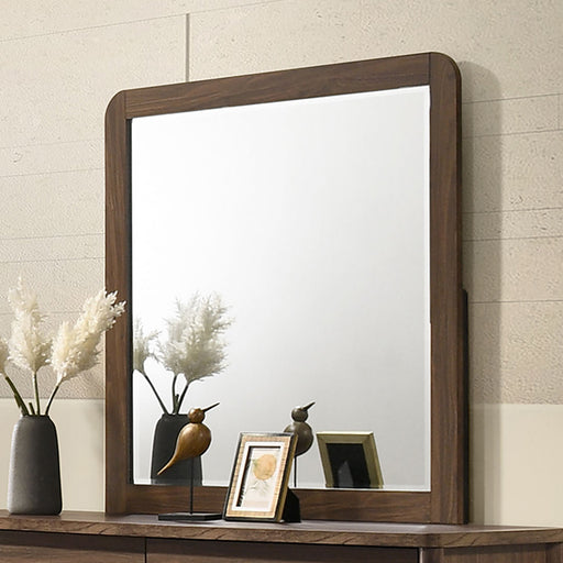 hayward-mirror