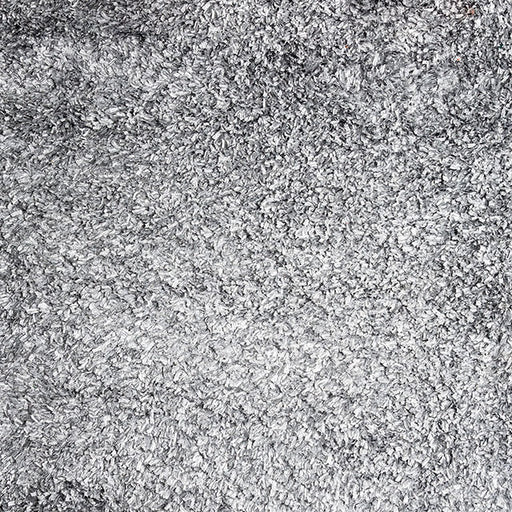 annmarie-silver-5-x-8-area-rug